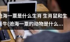 揭秘沧海一粟的生肖：到底是生肖鼠还是生肖牛？