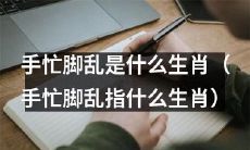 哪些生肖容易出现手忙脚乱的情况？