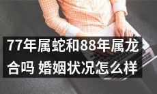 77年出生的蛇和88年出生的龙合适结婚吗？他们的婚姻状况如何？