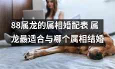 属龙的婚配指南:一份详尽的88属龙属相婚配表,告诉你属龙最适合与哪个属相结婚!