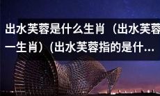 用尽全文力量变换出的更长的标题:探寻出水芙蓉所指之神秘生肖:一次关于“出水芙蓉打一生肖”的探讨
