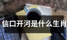 根据传统信仰，能信口开河的生肖有哪些？