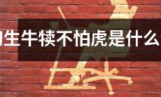 哪个生肖初生牛犊不怕虎?