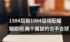 关于1984年出生的两只属鼠鼠相配婚姻,如何看待这场合财难题?