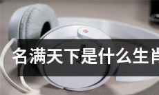 什么生肖被誉为享誉全球的名满天下？