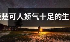 ——迷人娇媚、情感细腻的十二生肖之女
