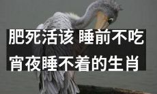 生肖宿命？不吃宵夜的你可能比吃宵夜的更容易变胖而难以入睡！