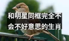 在明星相伴下，也能大方自在的生肖排行榜