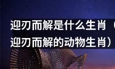 迎刃而解指代的动物生肖内涵是什么？