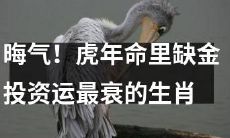 在虎年中，这些生肖的投资运势最为不利，缺乏黄金运势带来的财务兴隆