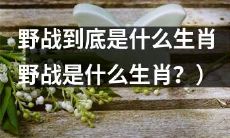 探讨野战是哪个生肖所代表的意义