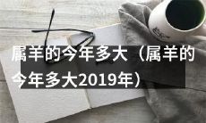 2019年属羊的人今年的年龄是多少岁?