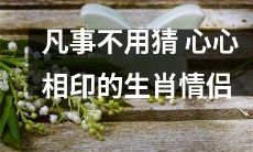 信任比猜疑更牢靠！探究12生肖的心心相印感情，揭秘如何建立理解、尊重和信任的健康关系！