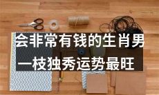 这也许是最富有的生肖男孩?一个超极成功的人,拥有绝佳的生肖组合,所谓"一枝独秀"的运势,想要成为致富的新贵吗?了解这个超级成功者的诸多秘密!