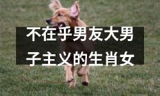 - 如何应对男友大男子主义的生肖女，以及她们内心真正的想法和情感？