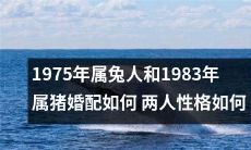 如何看待1975年属兔人和1983年属猪婚配的性格匹配度以及可能面临的挑战和机遇