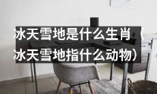 你知道哪些生肖是冰天雪地中的动物吗？