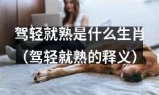 生肖驾轻就熟含义是什么，哪些生肖符合驾轻就熟的特征？