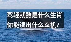 你能读出什么玄机：饮水思源，百事可乐，驾轻就熟——这是哪个生肖的标志？