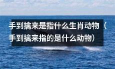 手到擒来指的是哪种生肖动物？