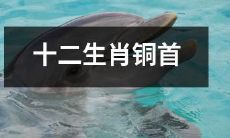 艺术品:一套十二生肖铜头像,原神系列,包括鼠、牛、虎、兔、龙、蛇、马、羊、猴、鸡、狗、猪,细节精致,逼真传神
