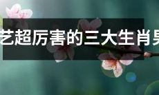 三位厨艺高超的生肖男，明显区别于其他星座男性，展现了他们出众的烹饪技能和超凡的味蕾感受力