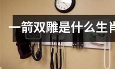 请问哪些生肖在文化与语言上被描述成具有“一箭双雕”的特征？