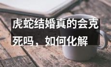 传说中的虎蛇搭配带来的厄运，是否真能导致婚姻破裂？如何有效地消除这个迷信传说的影响？