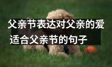 致敬最伟大的男人:用深情的话语表达对父亲的无尽爱意——欢度父亲节的时刻