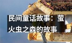 探秘萤火虫之森:一个充满民间童话故事的神奇国度