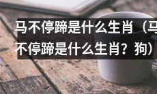 是什么生肖会被形容为‘马不停蹄’的动物？答案是哪个生肖？