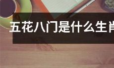 哪些生肖属于五花八门？