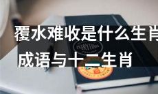 探究覆水难收与十二生肖之间的关系：哪些生肖可以被称作"覆水难收"成语？