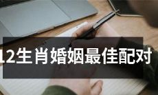 12生肖婚姻中的最佳配对搭配方案,详细解析每种生肖的优点和缺点,并为婚姻选择提供指导性建议