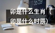 卯属于哪个生肖？卯在十二时辰中处于哪个位置？