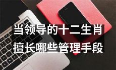 在不同领导风格下,十二生肖对于管理团队适用的技巧有哪些区别与共通之处?