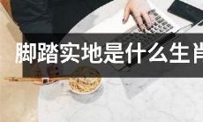 的代表？——探寻“脚踏实地”生肖象征的奥秘