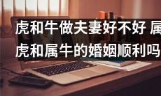 由于生肖的影响：属虎的男性和属牛的女性的婚姻是否美满幸福？