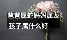 当父亲是蛇，母亲是龙，孩子应该属于什么生肖？如何进行生肖取舍？