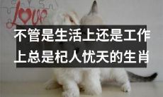 无论是生活还是工作，总是过度担忧的生肖人