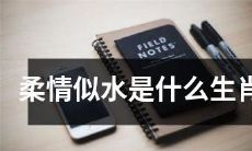 哪些生肖的特质被描述为柔情似水？