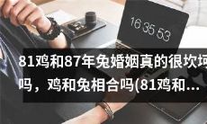 婚姻塞翁失马,81年鸡与87年兔的婚姻之路,有何浅见?探究鸡兔配对的相合与坎坷。(81鸡和87兔婚姻探究)