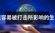 十二生肖中容易受到打击影响的星座约莫何等？