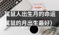 属鼠人的命运:探究与出生月份相关的影响(建议以属鼠月份为主)