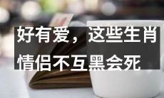 这些生肖情侣真是太有爱了，如果不互黑的话就会死得很惨呐！