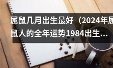 2024年属鼠人全年运势剖析:探究属鼠在哪个月份出生最为吉利的详细指南,针对1984年属鼠人进行全面解析!