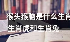 探究猴头猴脑的寓意和特征：对比生肖虎和生肖兔的差异与相似之处