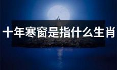 什么是指代“十年寒窗”的生肖？