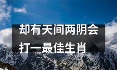 天遣奇缘：十二生肖间偶遇，唯有两阴会打造最佳组合