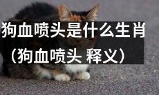 狗血喷头的释义及其对应生肖是什么？